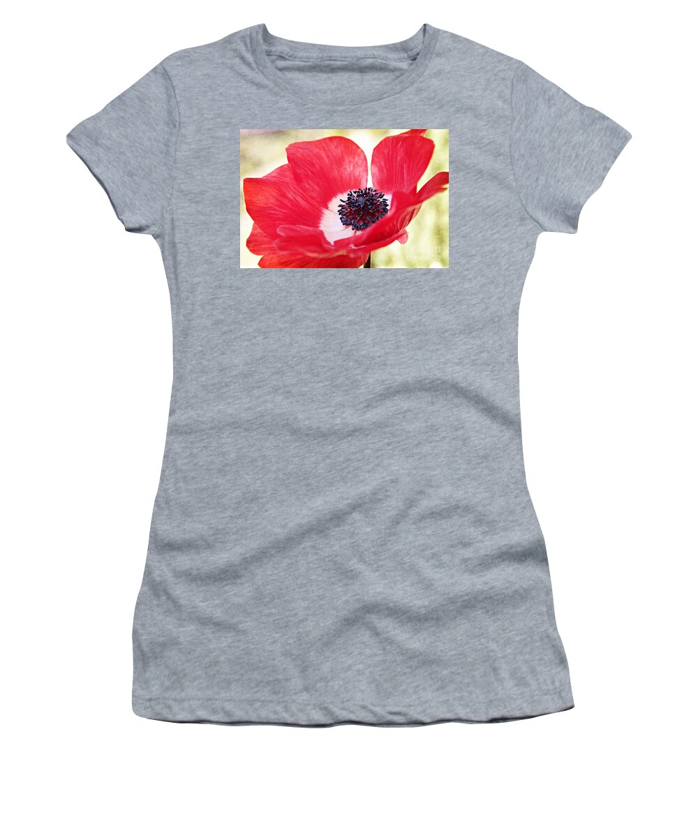 Anemone Coronaria Women's T-Shirt featuring the photograph Beauty in the Breeze by Clare Bevan