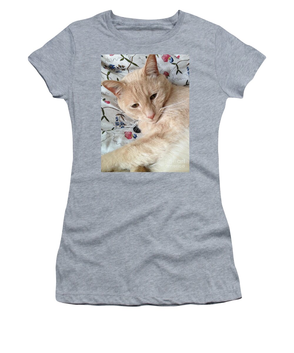 Orange Haired Cat Women's T-Shirt featuring the photograph Beauty by Kim Prowse