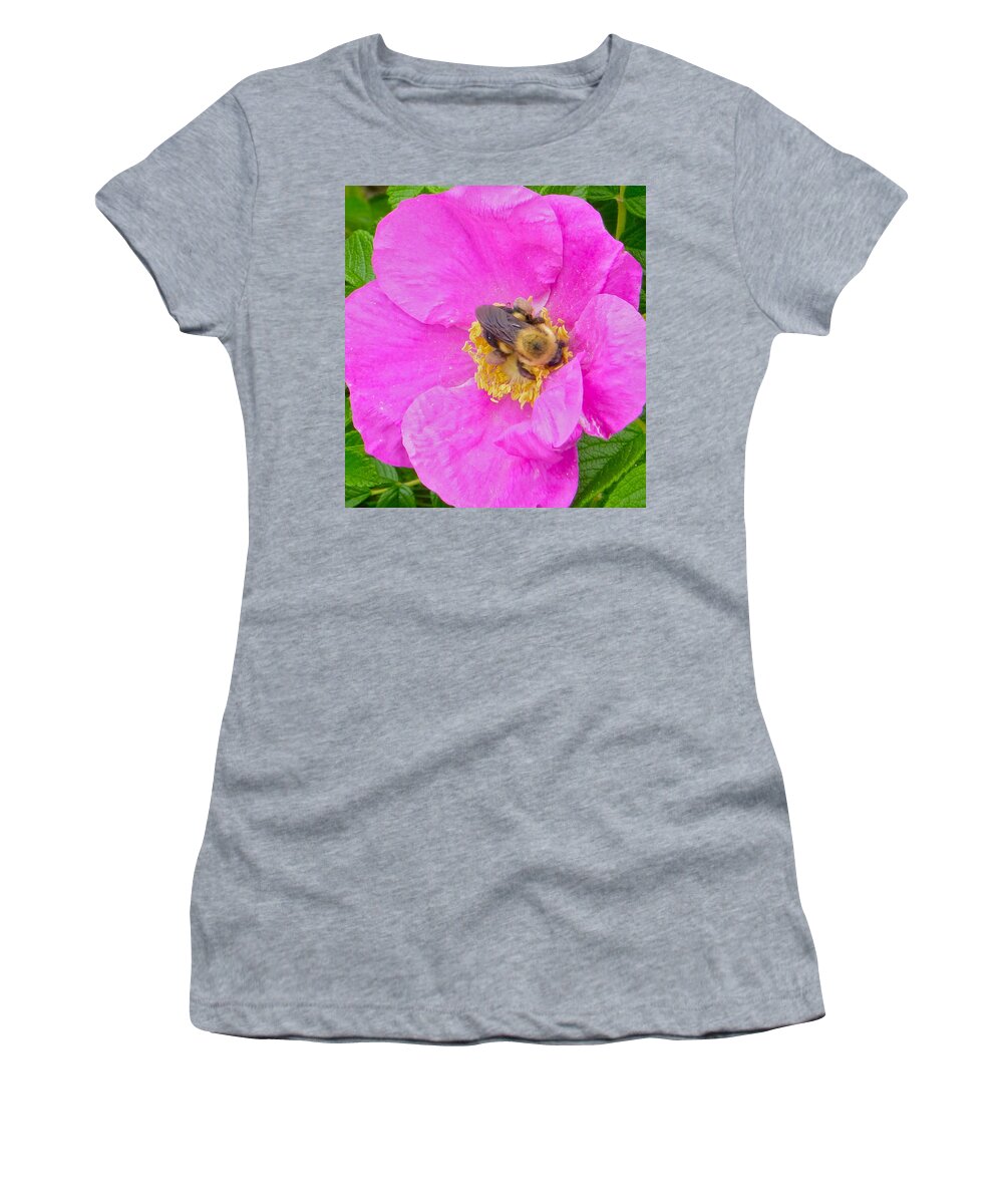 Bee Women's T-Shirt featuring the photograph Bee among beach roses by Ellen Paull