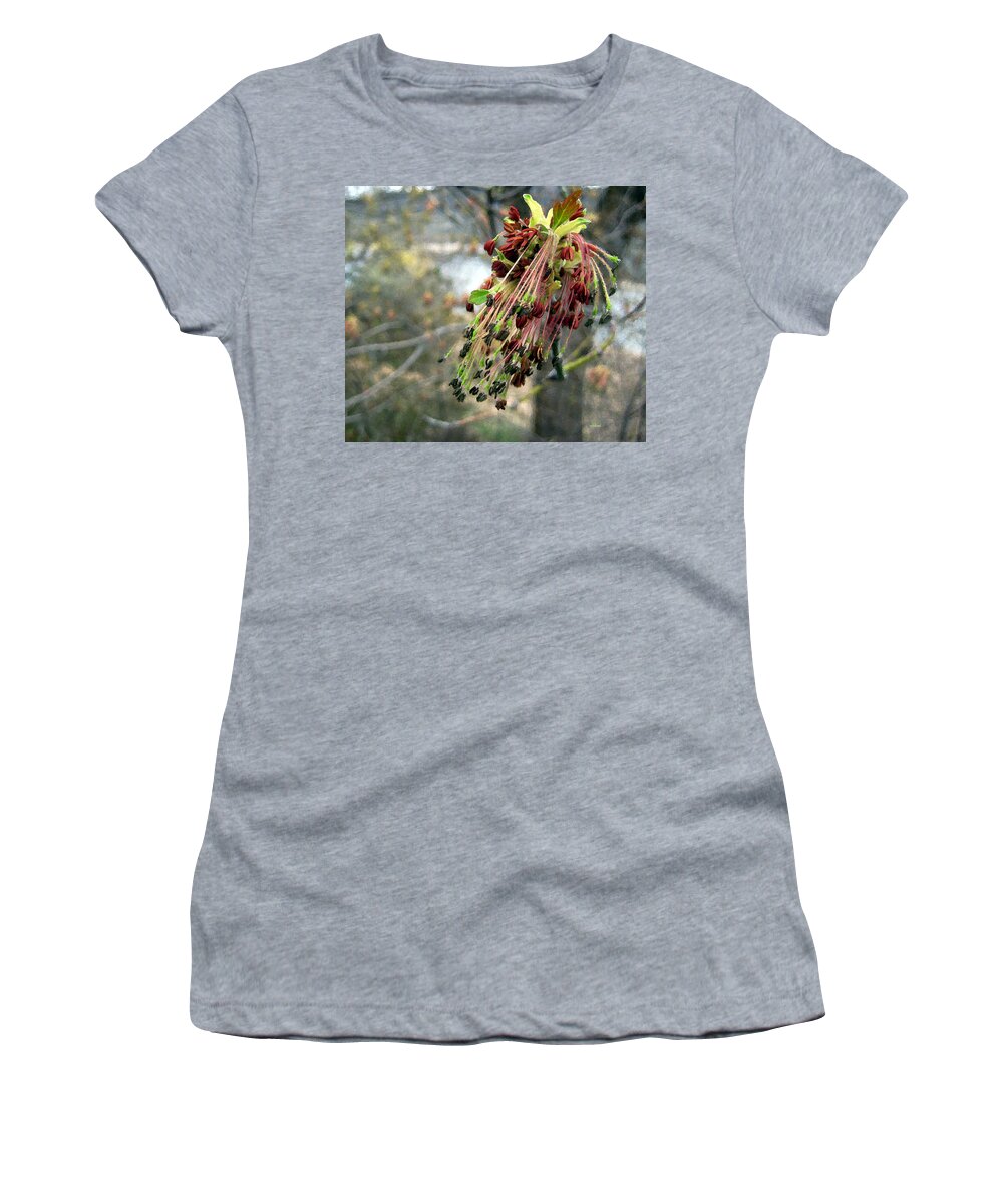 Spring Women's T-Shirt featuring the photograph Beginnings by Kathy Bassett