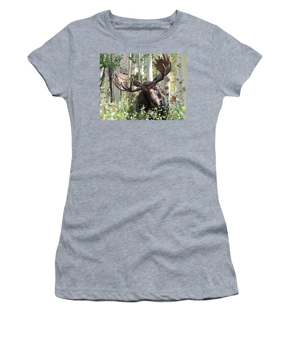 Bull Moose Photographs Women's T-Shirt featuring the photograph Big Daddy The Moose 3 by Fiona Kennard