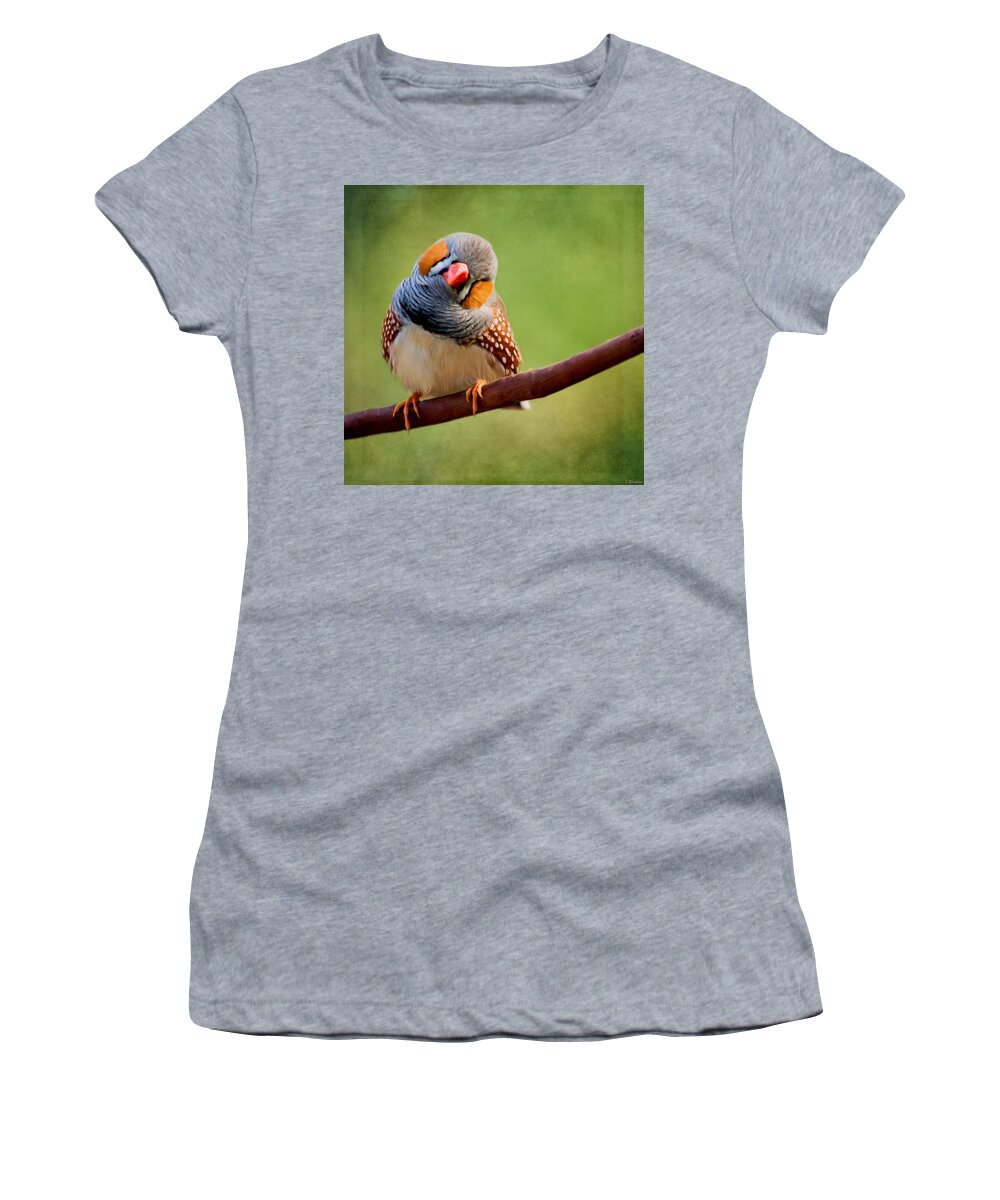 Change Your Opinions Women's T-Shirt featuring the painting Bird Art - Change Your Opinions by Jordan Blackstone