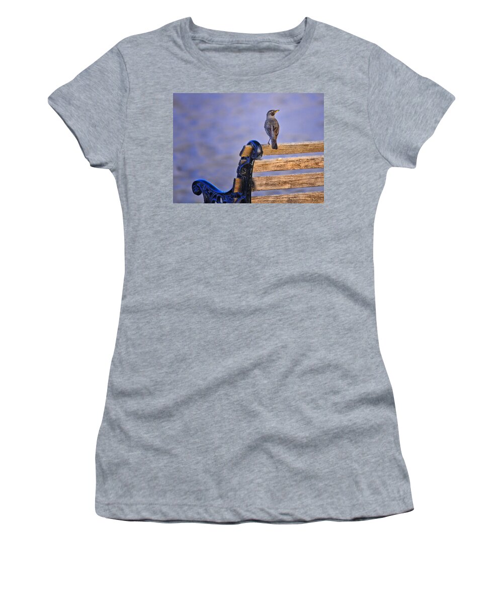 Robin Women's T-Shirt featuring the photograph Bird on a Bench by Peg Runyan