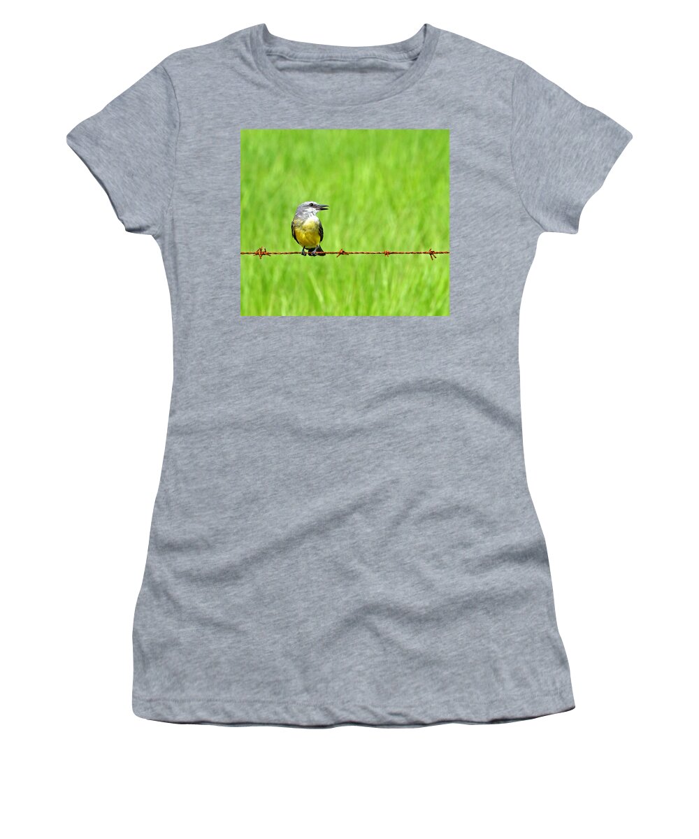Bird On A Wire Women's T-Shirt featuring the photograph Bird on a Wire by Peggy Collins