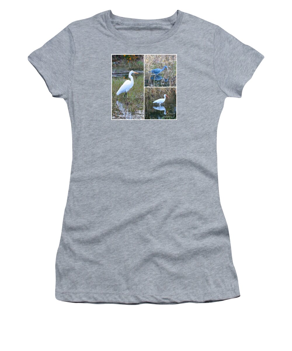 Great Egret Women's T-Shirt featuring the photograph Birds on Pond Collage by Carol Groenen