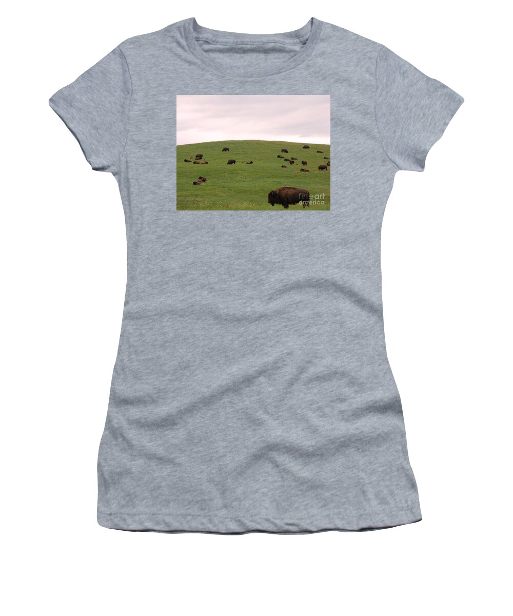 American Women's T-Shirt featuring the photograph Bison Herd by Olivier Le Queinec