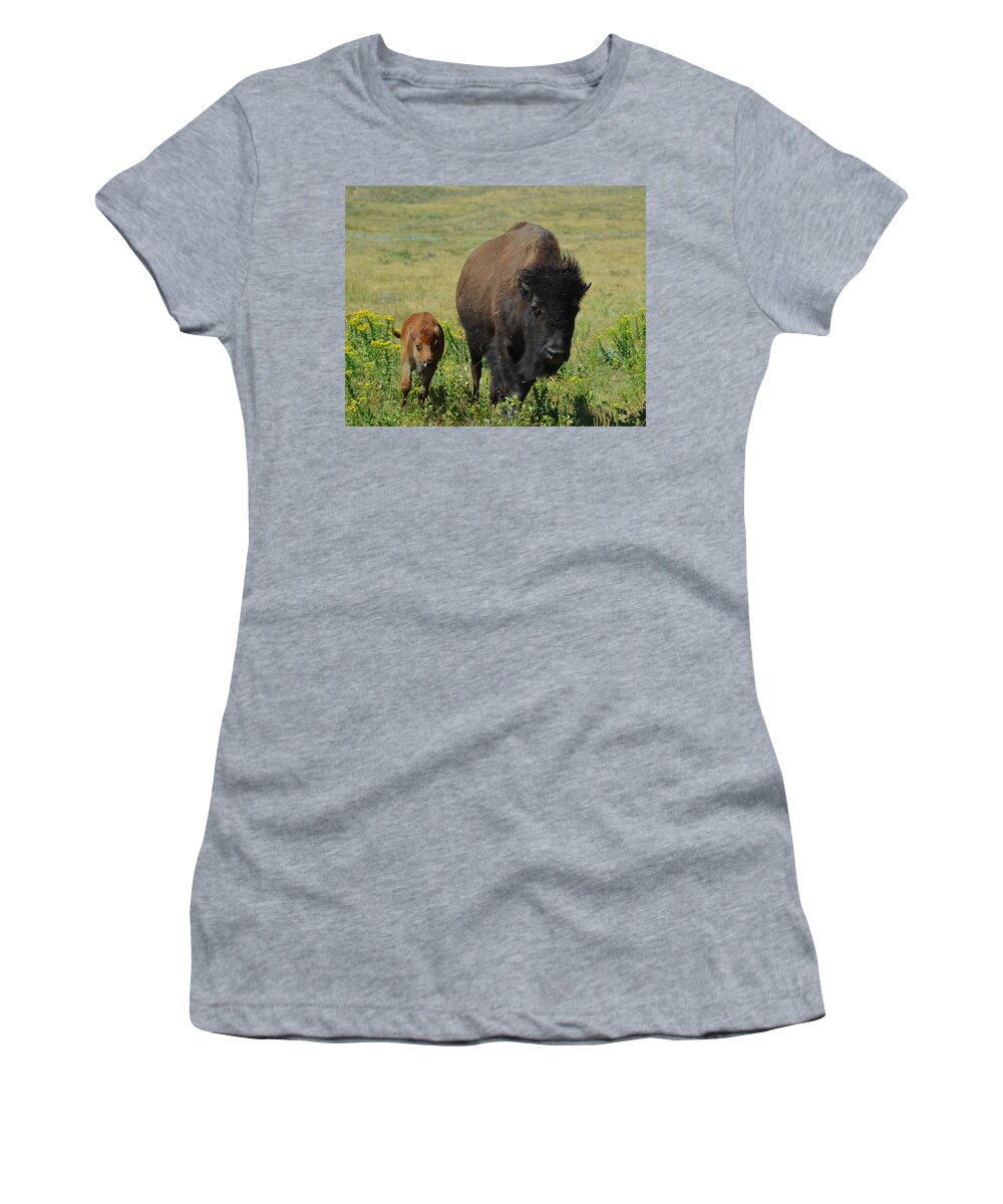 Dakota Women's T-Shirt featuring the photograph Bison Mother and Calf by Greni Graph