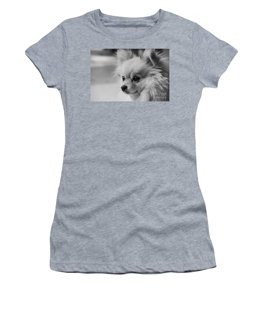 Teddy Bear Women's T-Shirt featuring the photograph Black and white Portrait of Pixie the Pomeranian by Jennifer E Doll