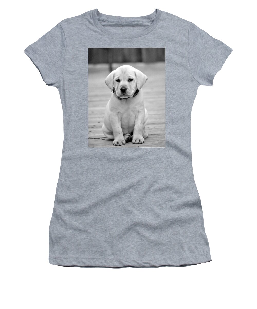 Puppy Prints Women's T-Shirt featuring the photograph Black and White Puppy by Kristina Deane