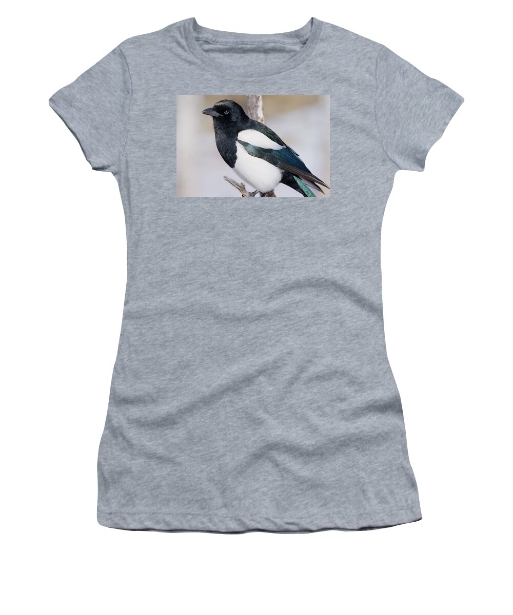 Bird Women's T-Shirt featuring the photograph Black-billed Magpie by Eric Glaser
