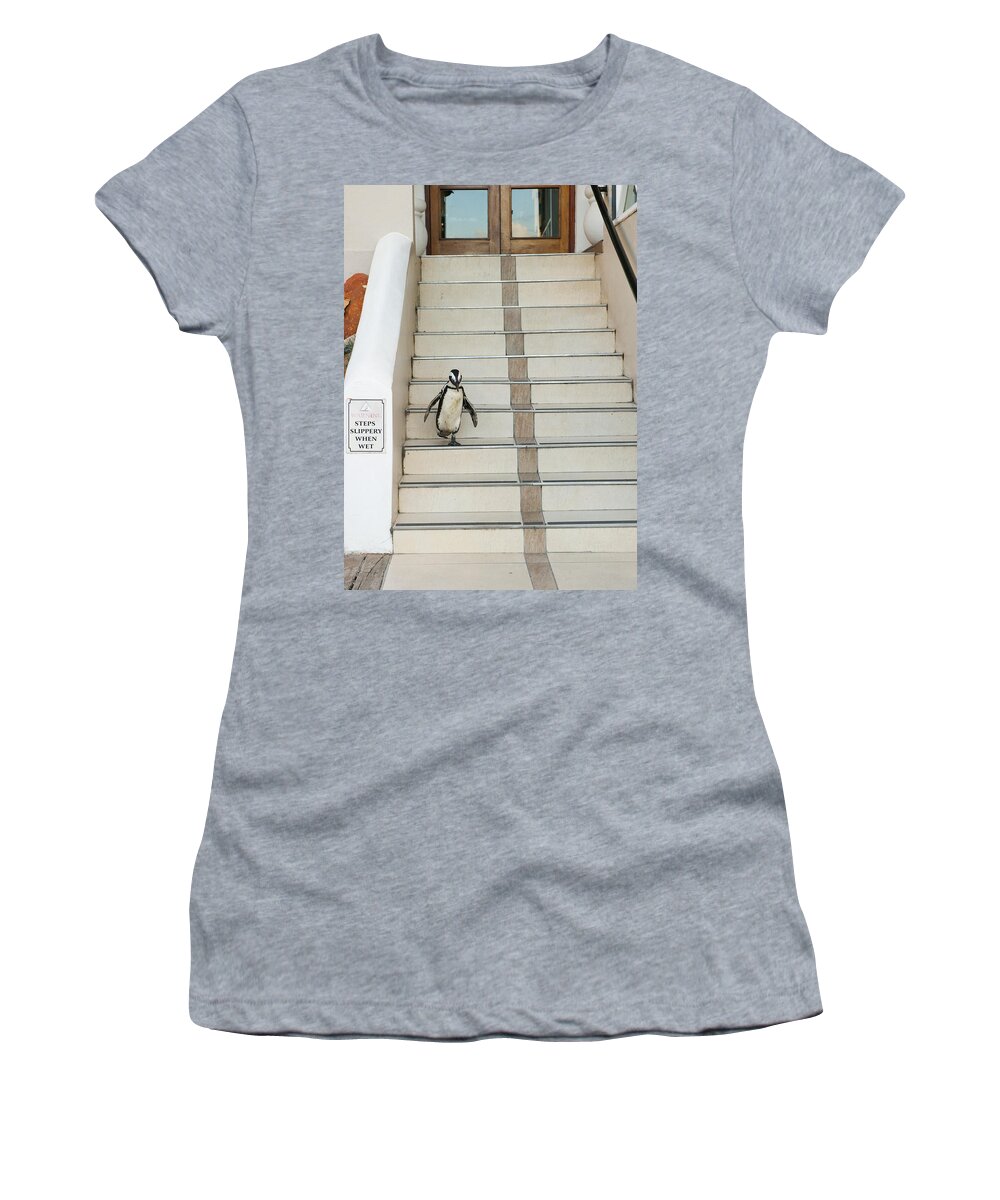 Feb0514 Women's T-Shirt featuring the photograph Black-footed Penguin Boulders Beach by Kevin Schafer