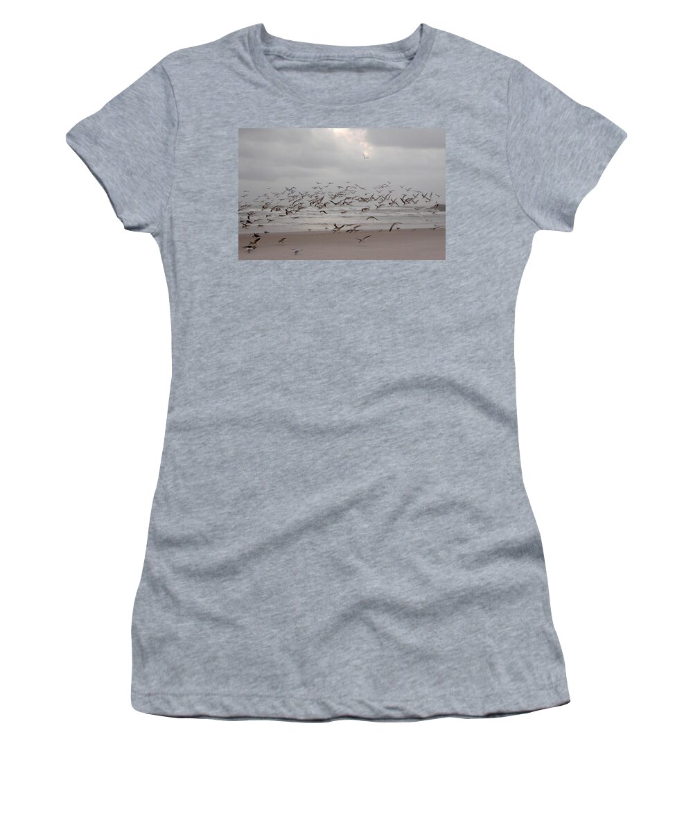Beach Women's T-Shirt featuring the photograph Black Skimmers on the beach at dawn by Julianne Felton