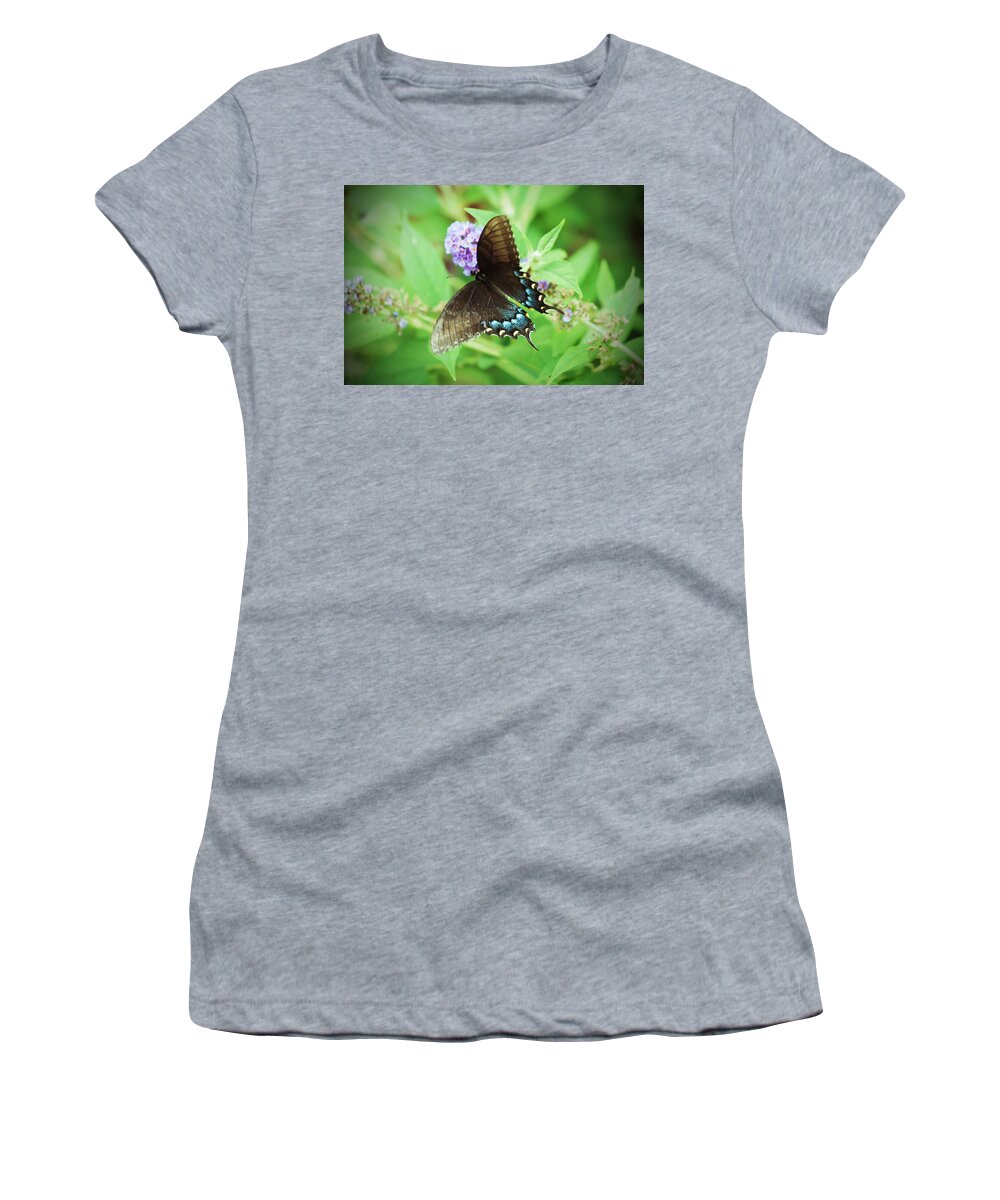 Butterfly Women's T-Shirt featuring the photograph Black Swallowtail by Michael Porchik