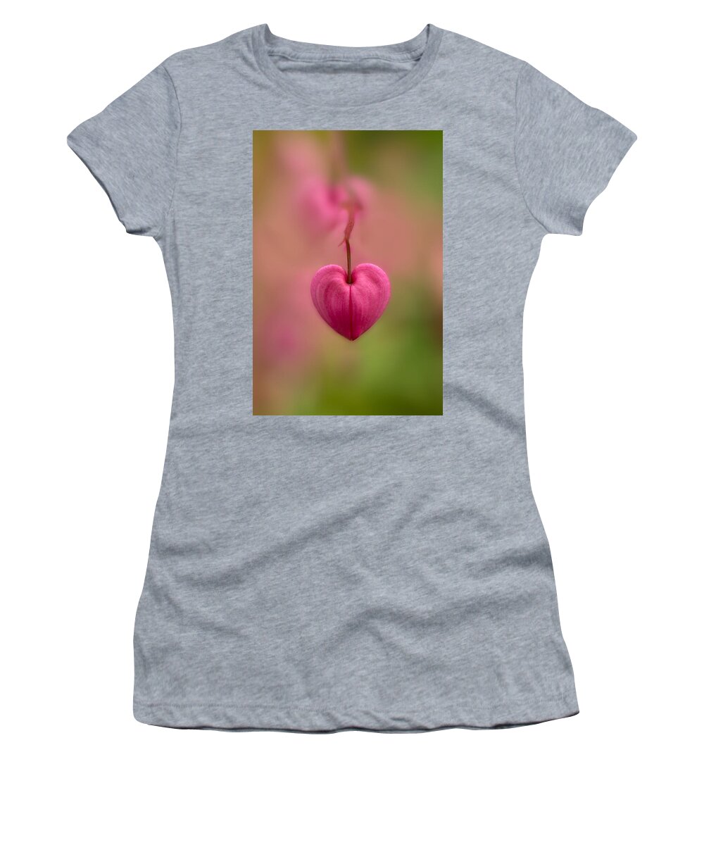 Flower Women's T-Shirt featuring the photograph Bleeding heart flower by Jaroslaw Blaminsky