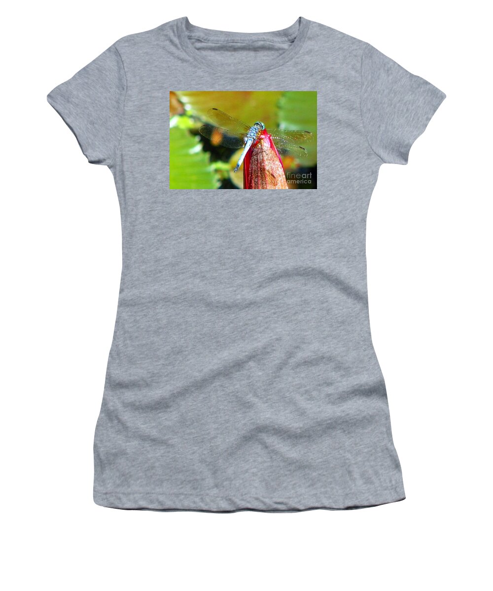 Dragonfly Women's T-Shirt featuring the photograph Blue Dragonfly Macro by Anita Lewis