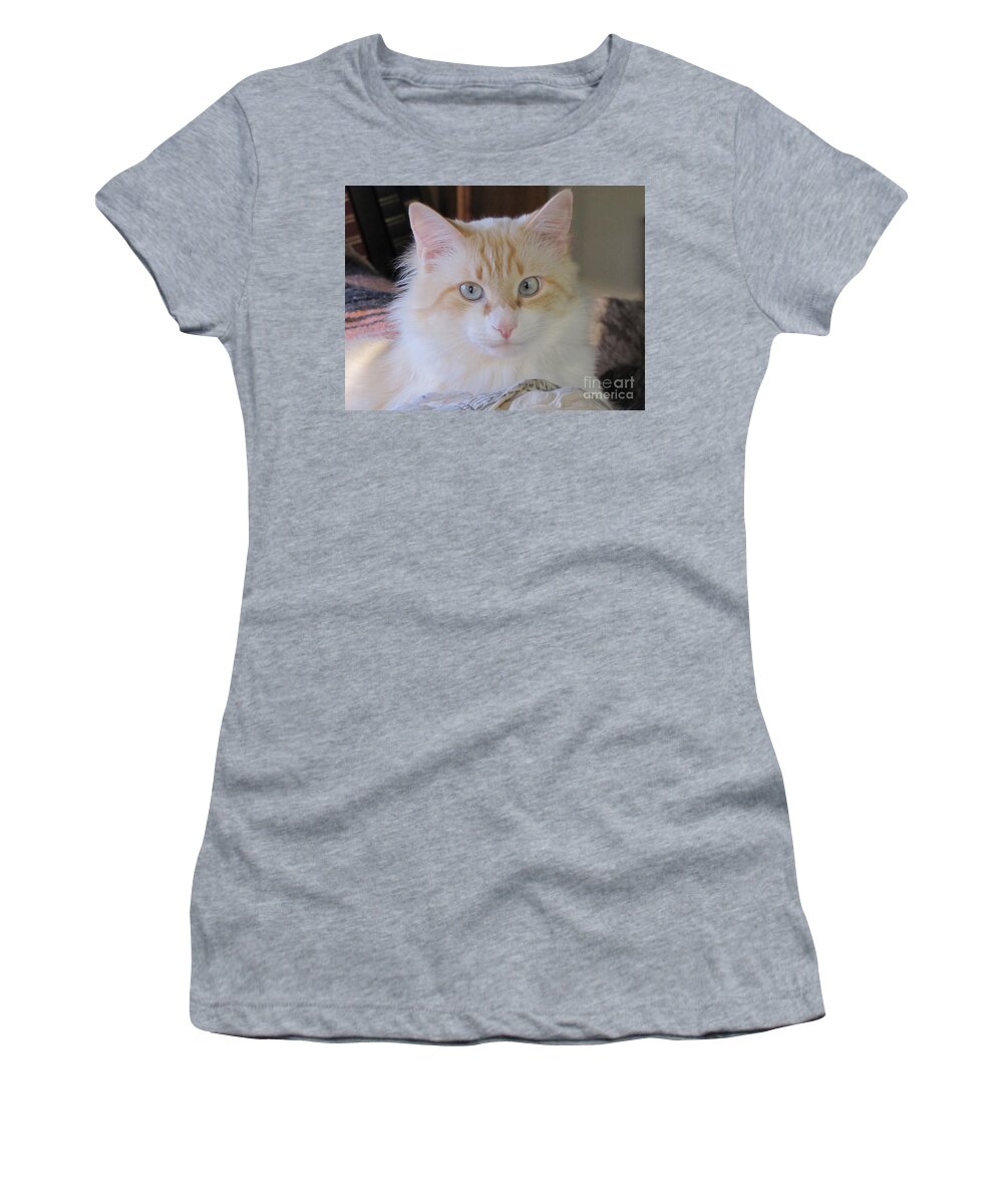 Cat Women's T-Shirt featuring the photograph Blue eyed baby by Michelle Powell
