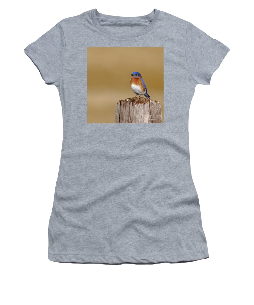 Animal Women's T-Shirt featuring the photograph Bluebird At His Post by Robert Frederick