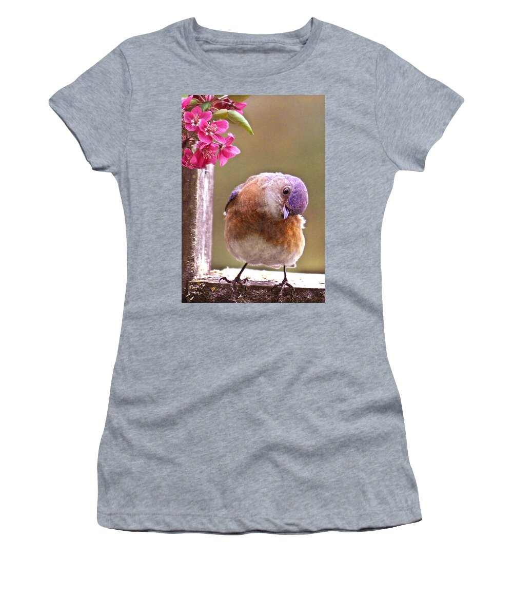 Animals Women's T-Shirt featuring the photograph Bluebird by Jean Noren