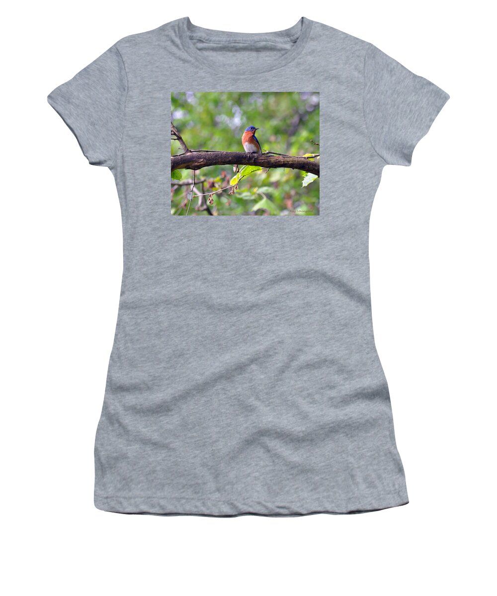 Nature Women's T-Shirt featuring the photograph Bluebird on a Tree Branch by Kay Lovingood