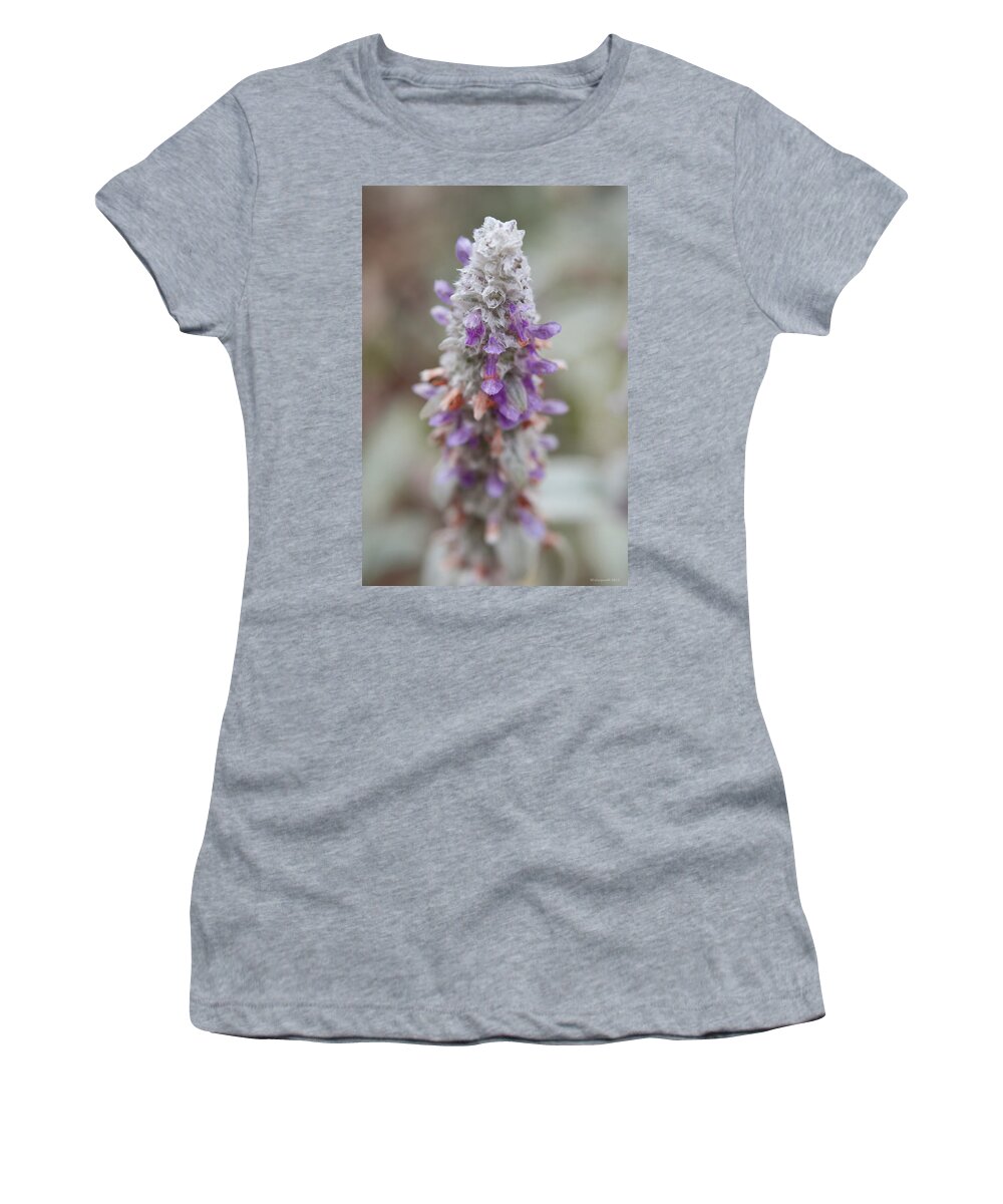 Flowers Women's T-Shirt featuring the photograph Blumen by Miguel Winterpacht
