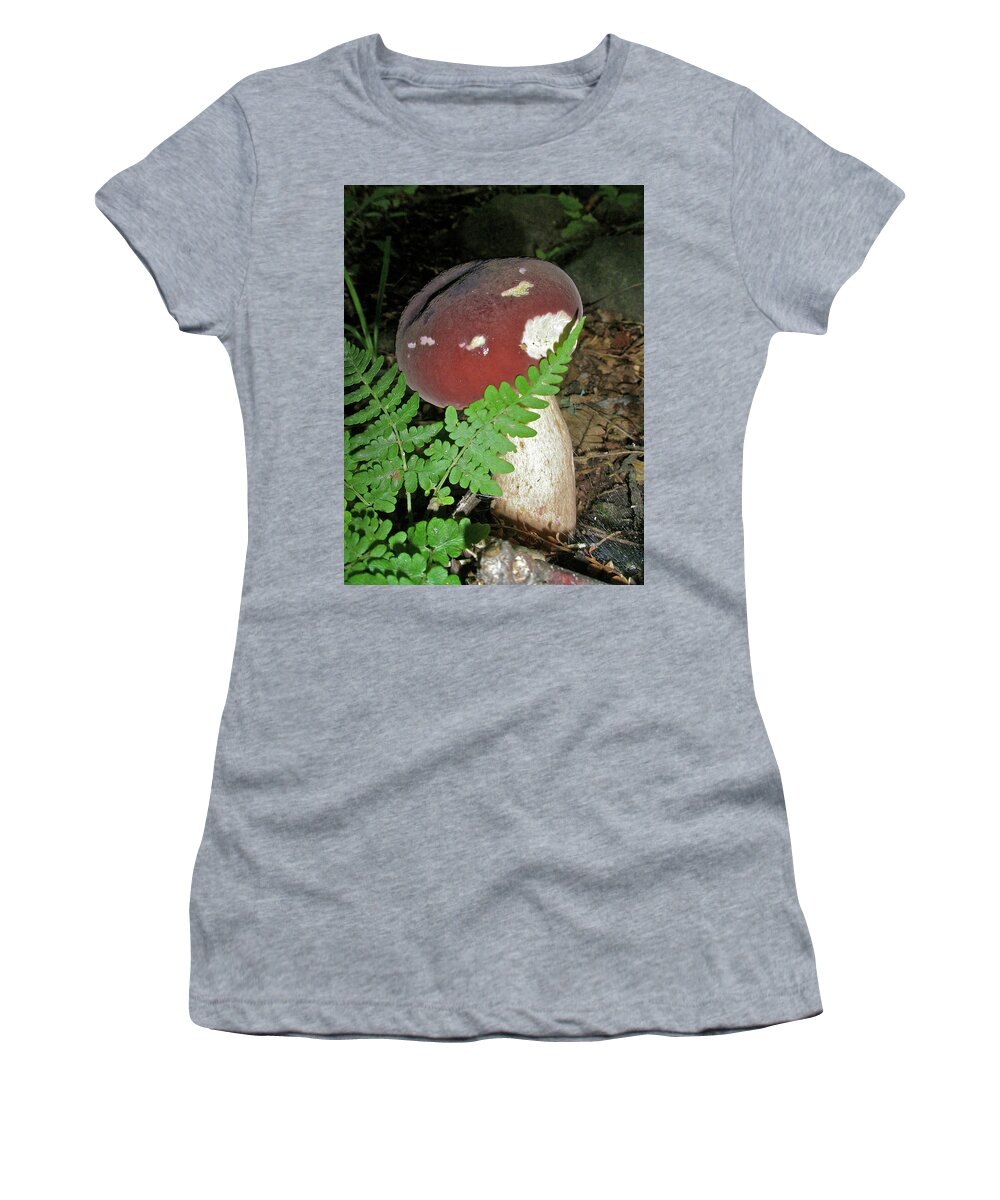 Mushroom Women's T-Shirt featuring the photograph Bolete Mushroom and Fern by Carol Senske