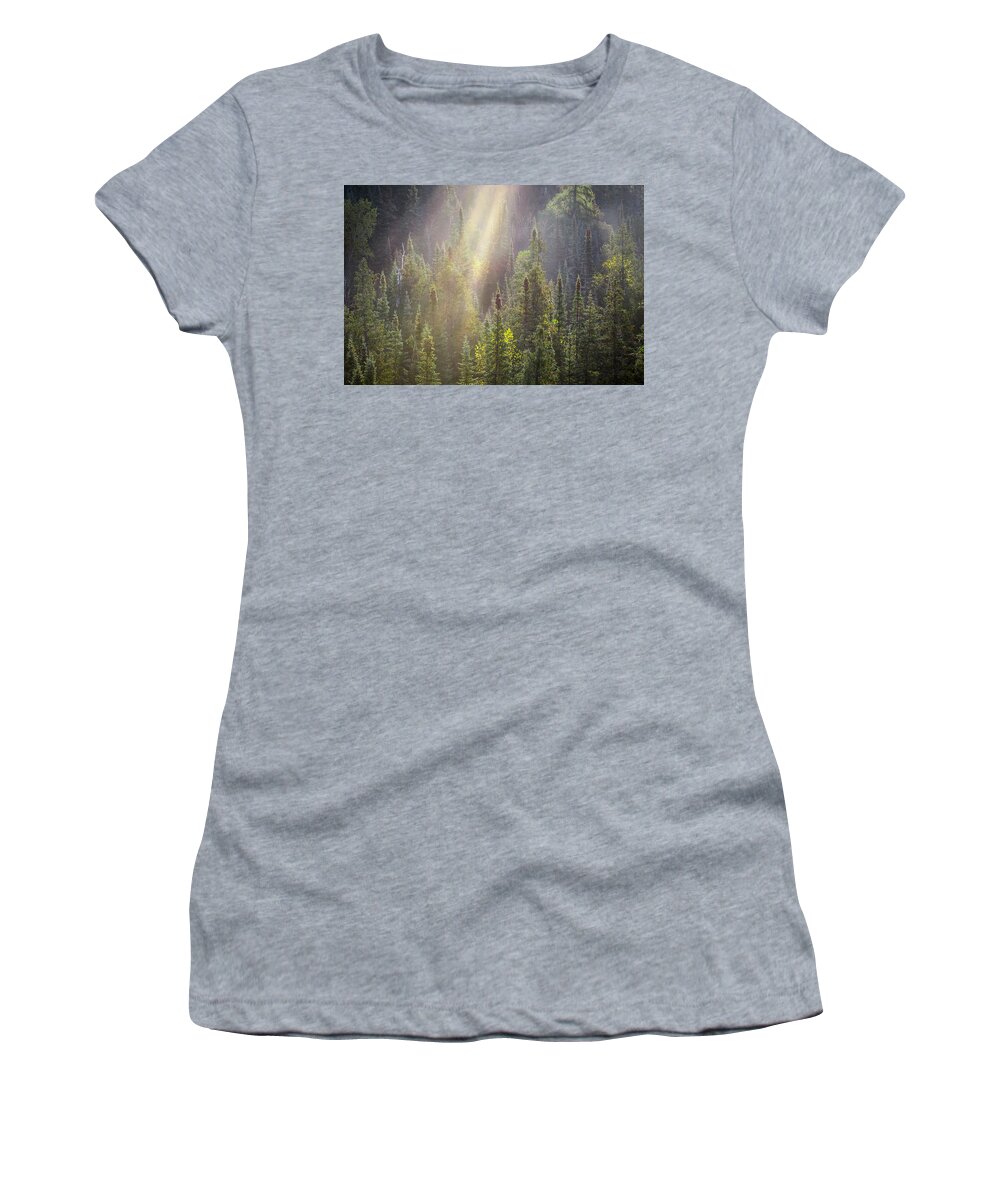 Boreal Women's T-Shirt featuring the photograph Boreal Morning Rays by Jakub Sisak