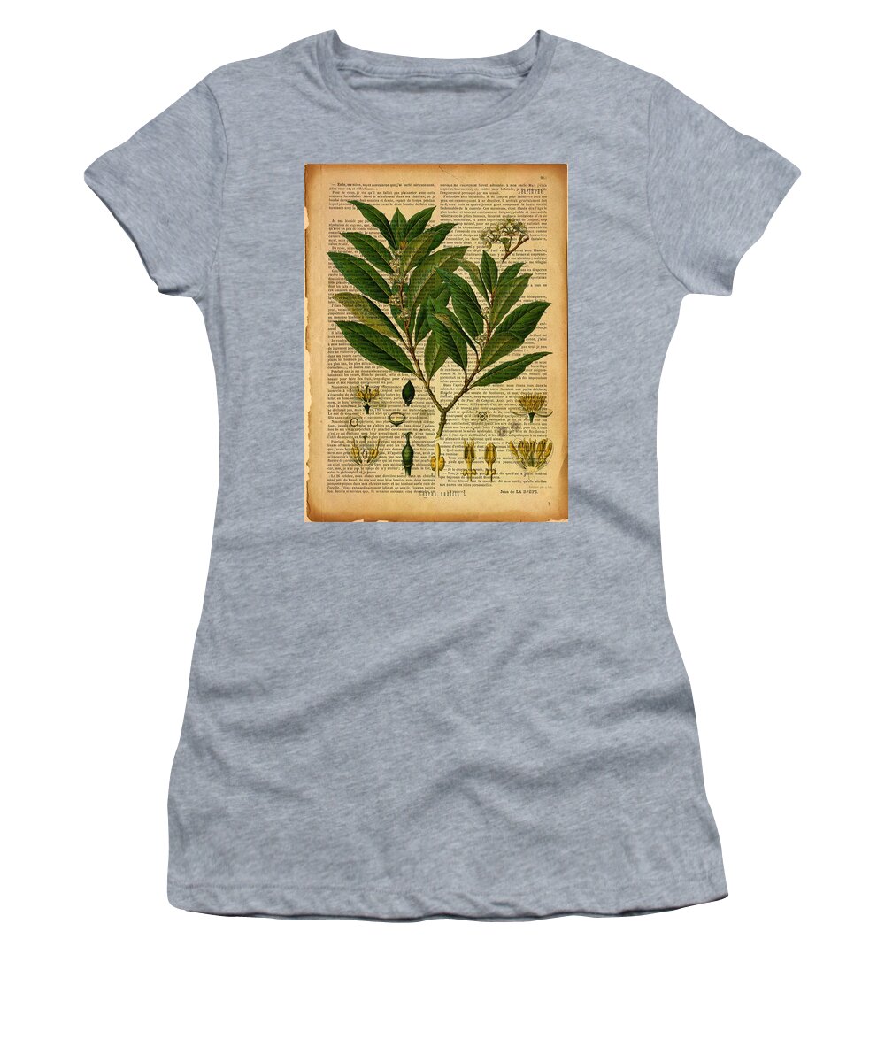 Botanical Women's T-Shirt featuring the digital art Botanical print on old page 2 by Lilia S