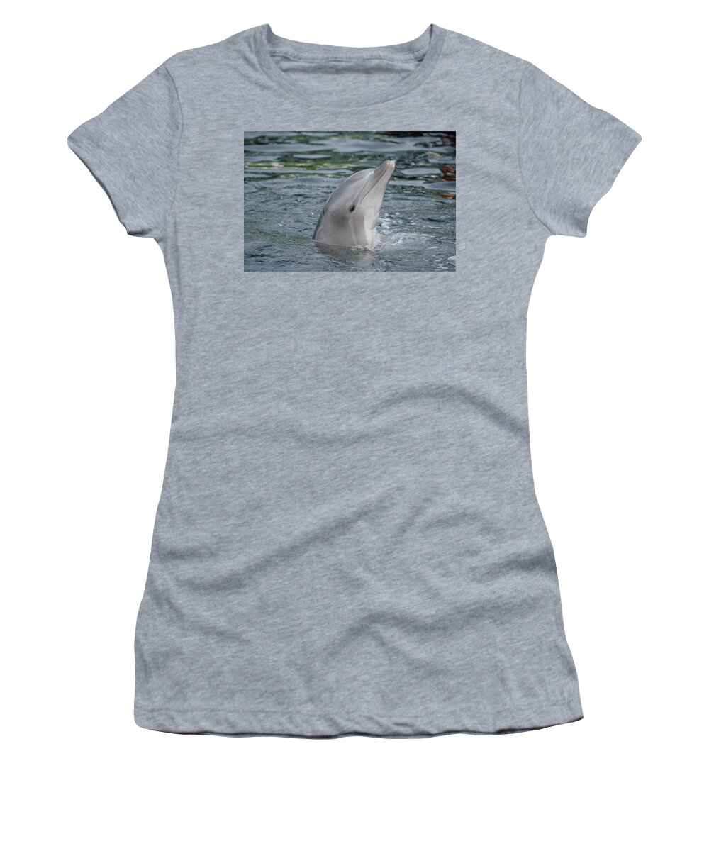 Feb0514 Women's T-Shirt featuring the photograph Bottlenose Dolphin Group Underwater by Flip Nicklin