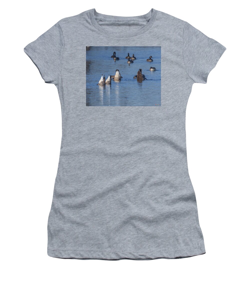 Marsh Women's T-Shirt featuring the photograph Bottoms Up - Canada Geese Feeding on Bay Bottom DWF116 by Gerry Gantt