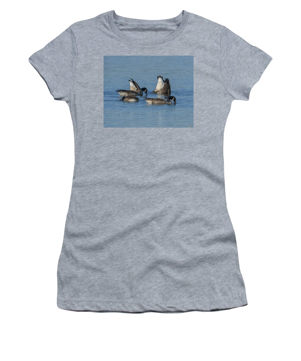 Marsh Women's T-Shirt featuring the photograph Bottoms Up-Canada Geese Feeding on Bay Bottom DWF119 by Gerry Gantt