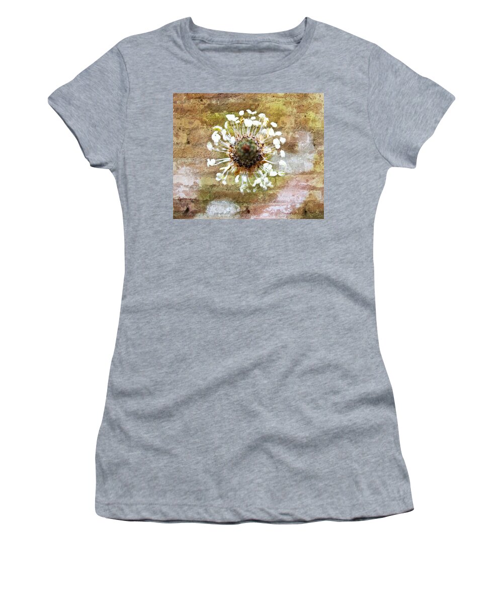 Flower Women's T-Shirt featuring the mixed media Bricks Beneath Her Feet by Marie Jamieson