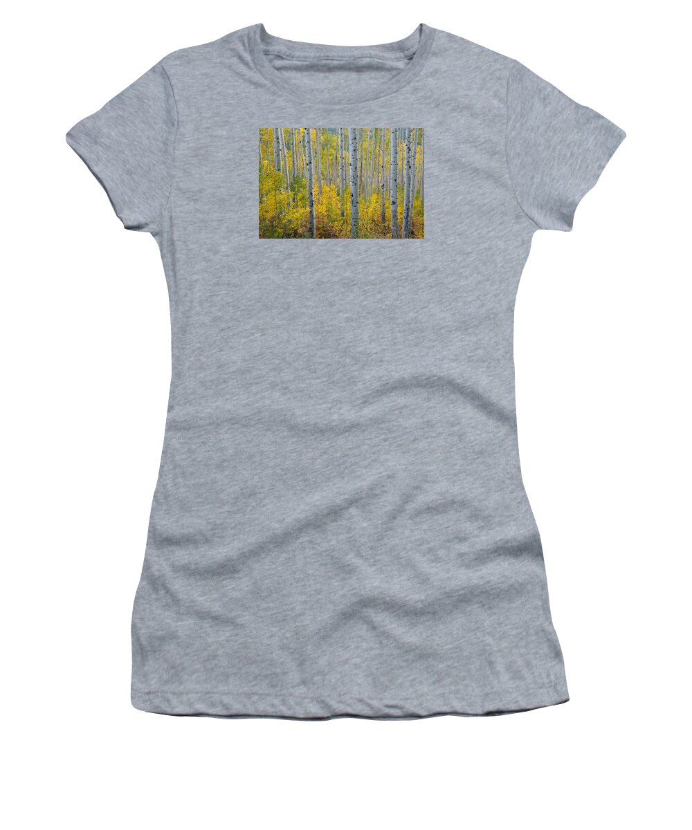 Forest Women's T-Shirt featuring the photograph Brilliant Colors of the Autumn Aspen Forest by Cascade Colors