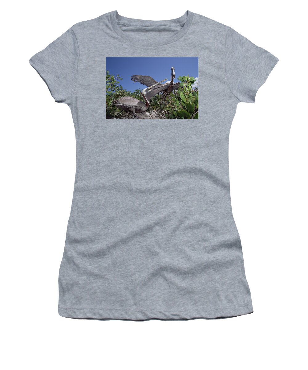 Feb0514 Women's T-Shirt featuring the photograph Brown Pelican Greeting Display by Tui De Roy