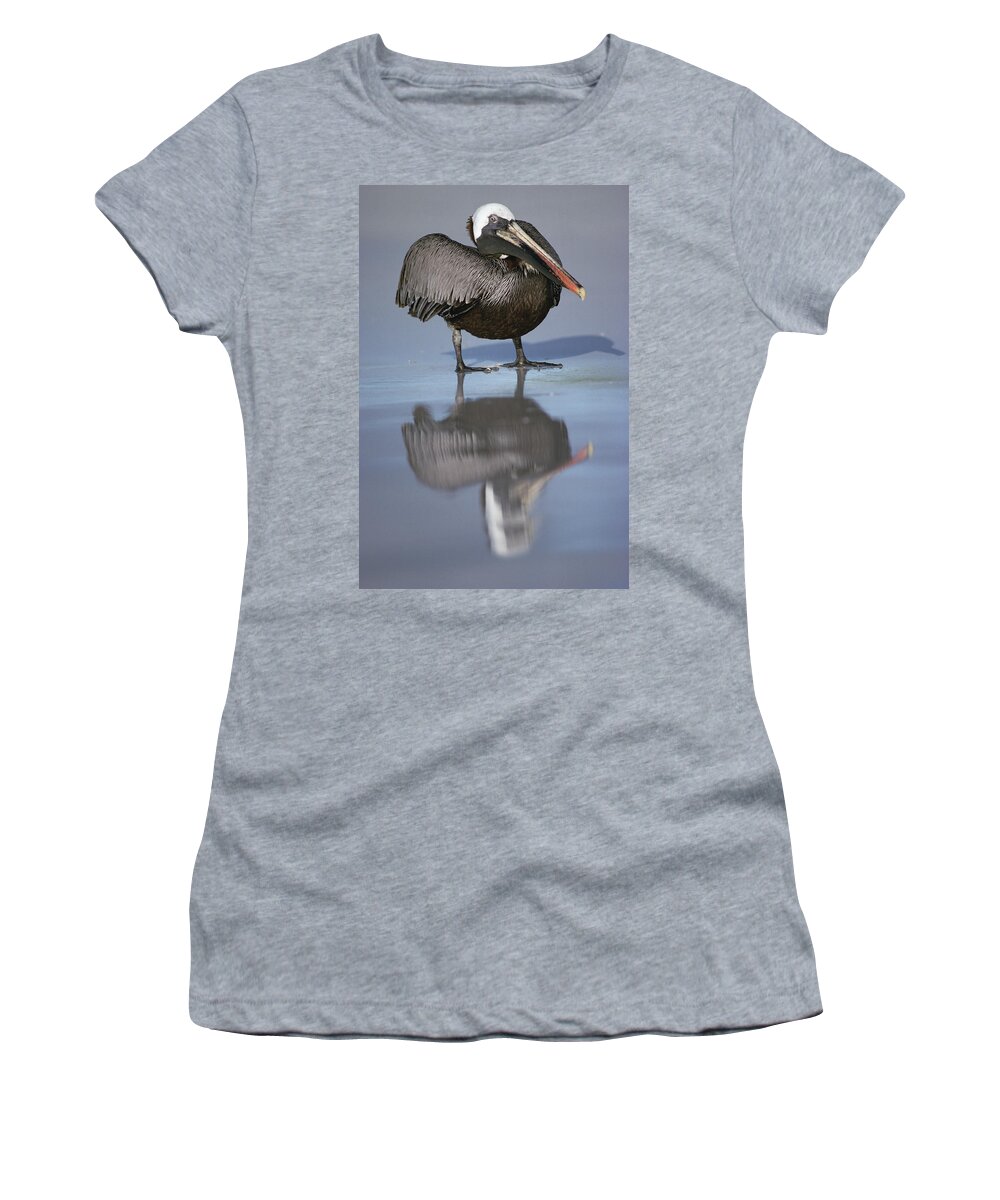 Feb0514 Women's T-Shirt featuring the photograph Brown Pelican Turtle Bay Galapagos by Tui De Roy