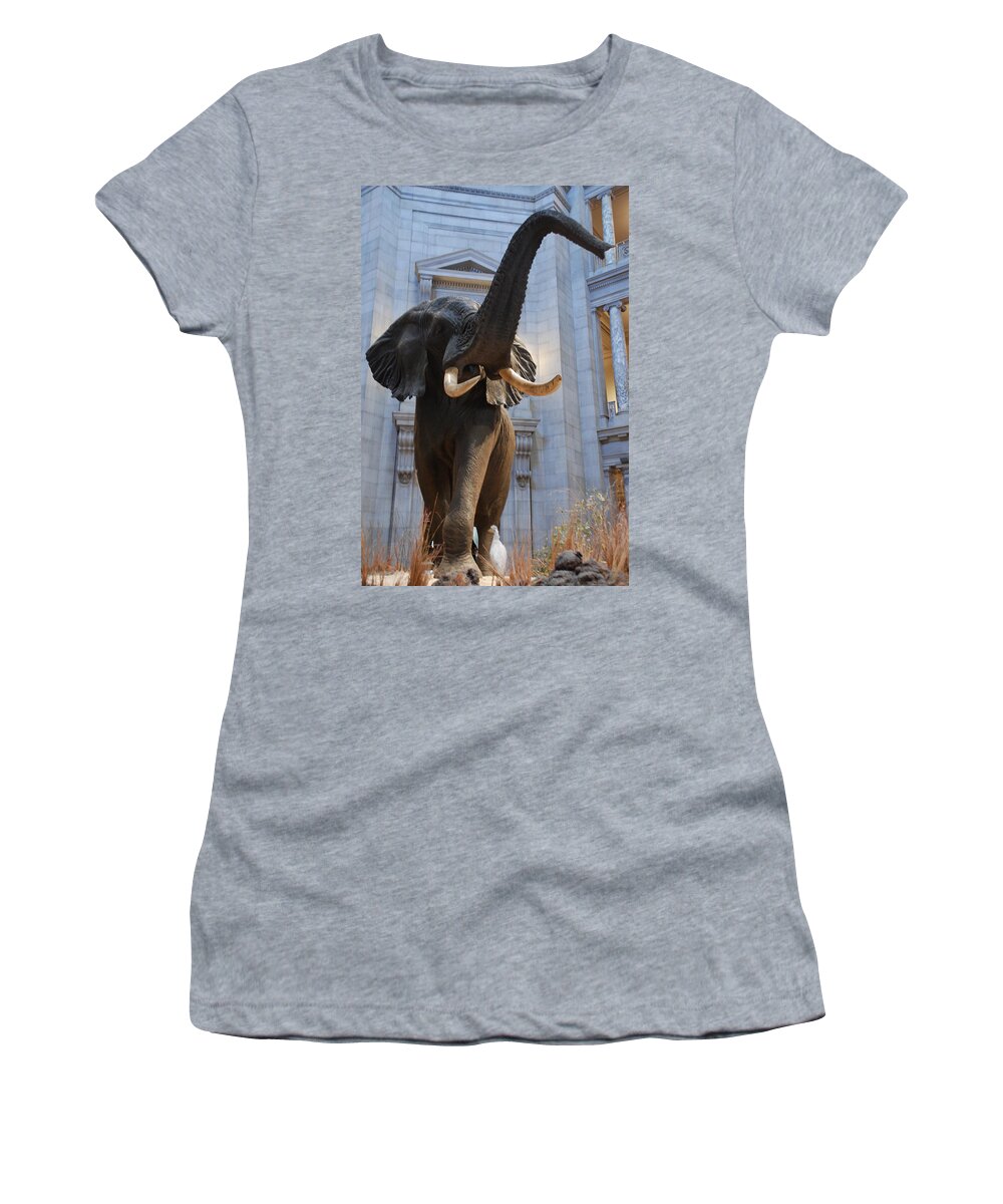 Bull Elephant Women's T-Shirt featuring the photograph Bull Elephant in Natural History Rotunda by Kenny Glover