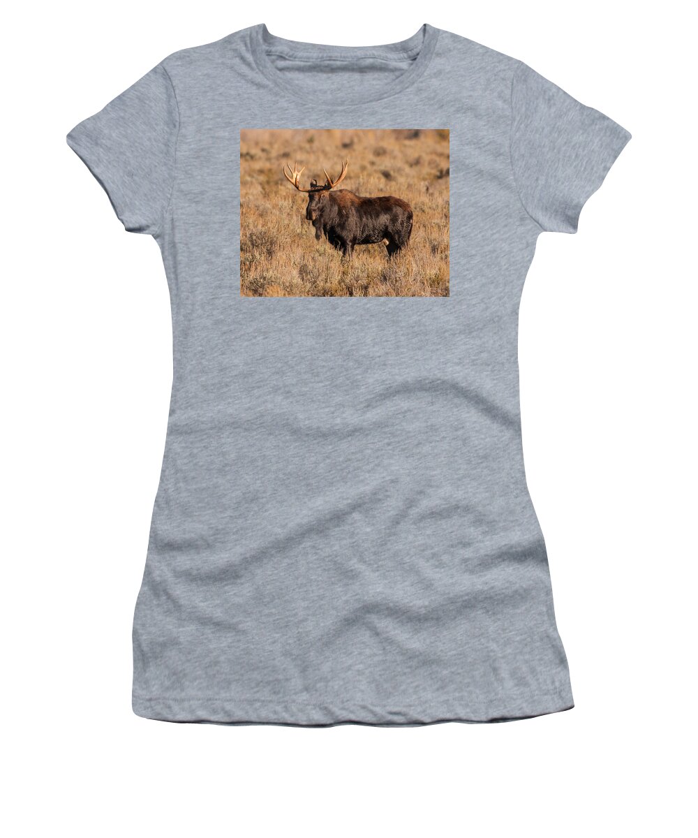 Grand Teton National Park Women's T-Shirt featuring the photograph Bull Moose by Brenda Jacobs