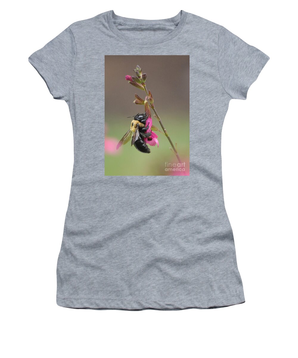 Bee Women's T-Shirt featuring the photograph Busy As A Bee by Kathy Baccari