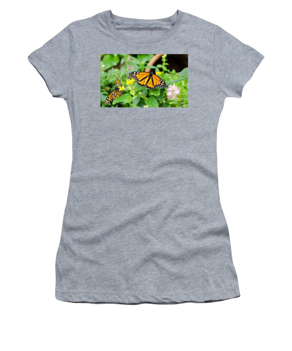 Butterfly Women's T-Shirt featuring the photograph Butterflies 5 by Andrea Anderegg
