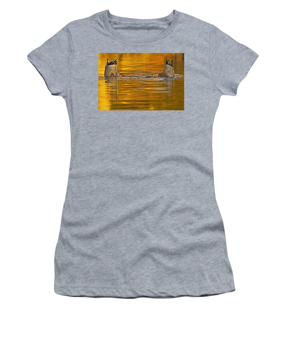 Mallard Women's T-Shirt featuring the photograph Butts by Jack Milchanowski