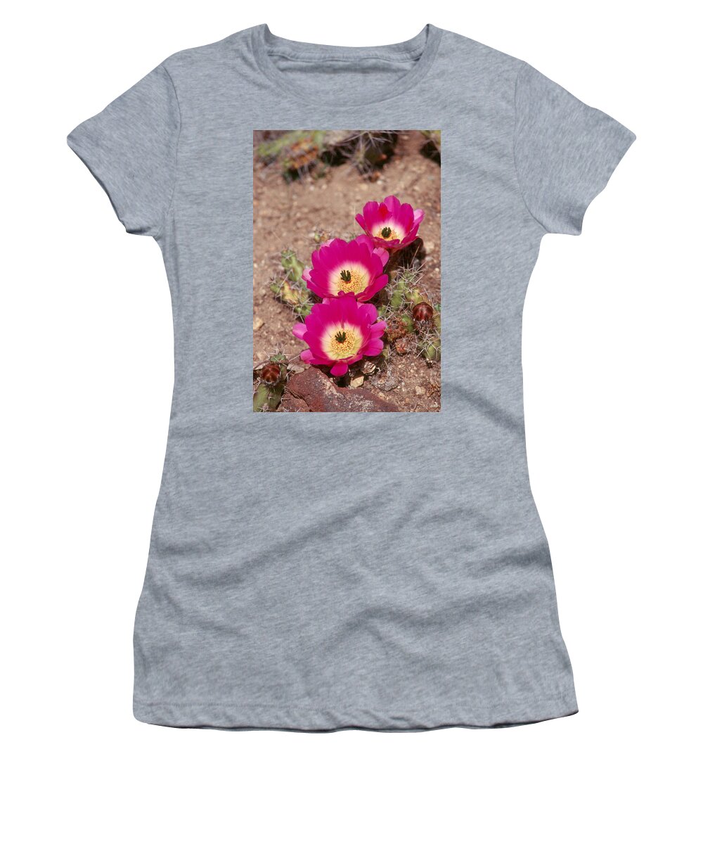 Flower Women's T-Shirt featuring the photograph Cactus 1 by Andy Shomock