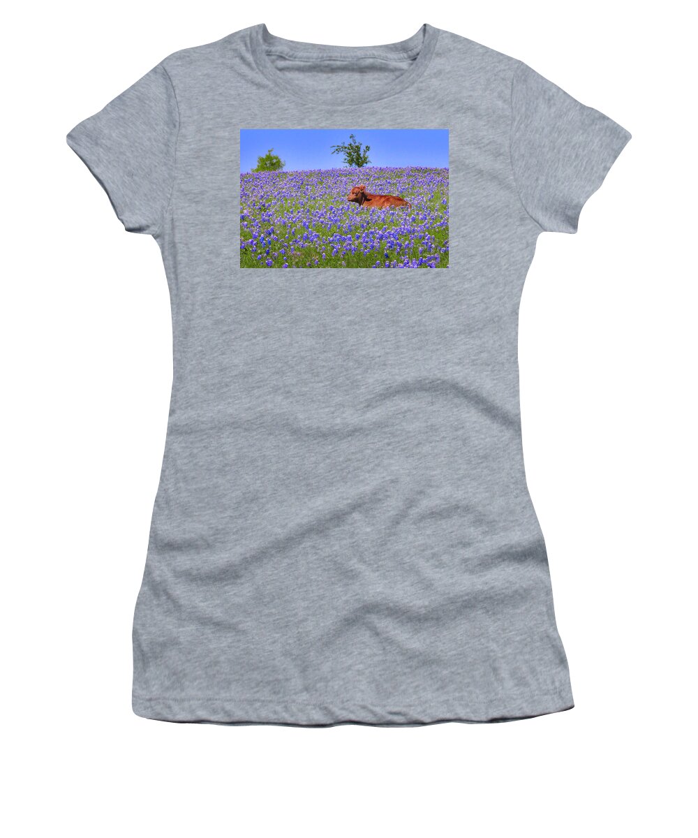 Texas Bluebonnets Women's T-Shirt featuring the photograph Calf Nestled in Bluebonnets - Texas Wildflowers Landscape Cow by Jon Holiday