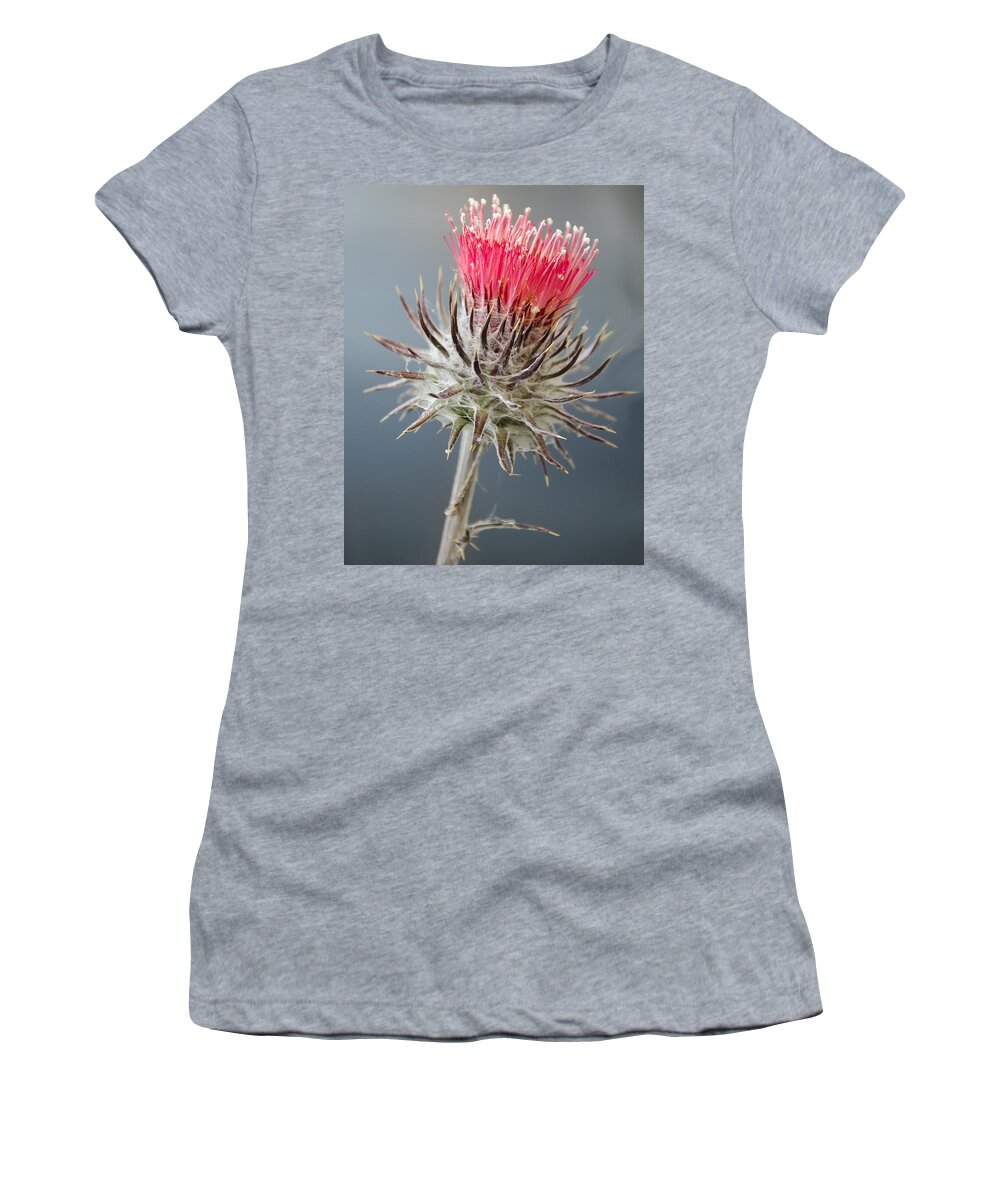Wildflowers Women's T-Shirt featuring the photograph California Thistle by Georgette Grossman