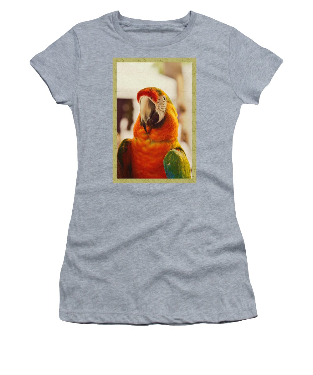 Camelot Women's T-Shirt featuring the photograph Camelot Macaw by Kae Cheatham