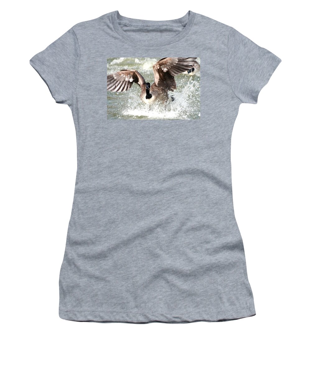 Canada Goose Women's T-Shirt featuring the photograph Canada Goose Fight by Jeremy Hayden