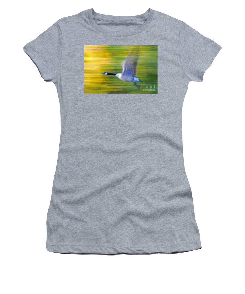 Goose Women's T-Shirt featuring the photograph Canadian In Flight by Bob Mintie