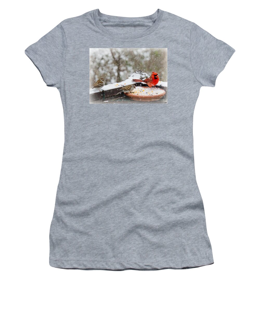 Sandra Clark Women's T-Shirt featuring the photograph Cardinal and Sparrows in the Snow by Sandra Clark