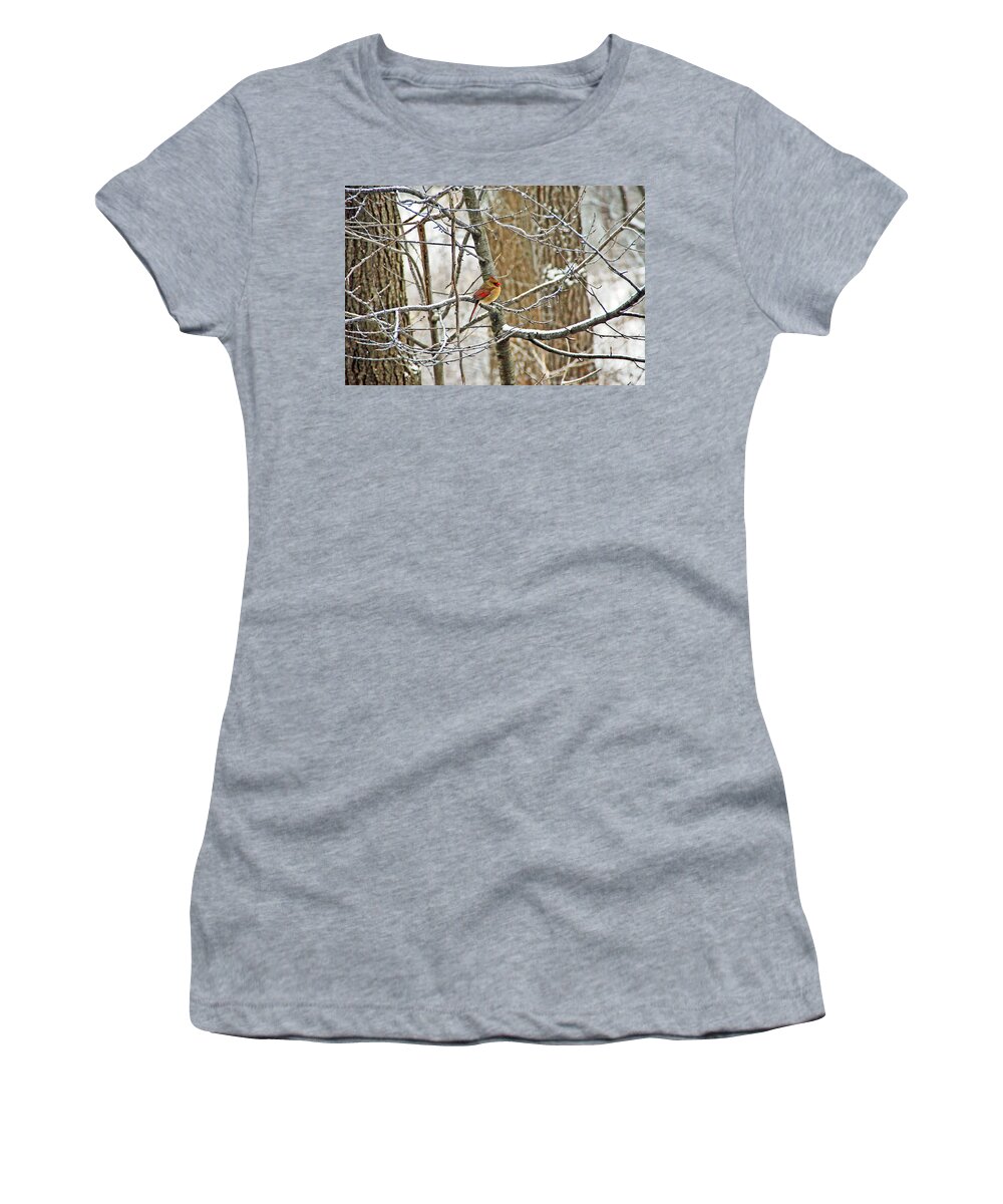 Bird Women's T-Shirt featuring the photograph Cardinal in Winter by Aimee L Maher ALM GALLERY