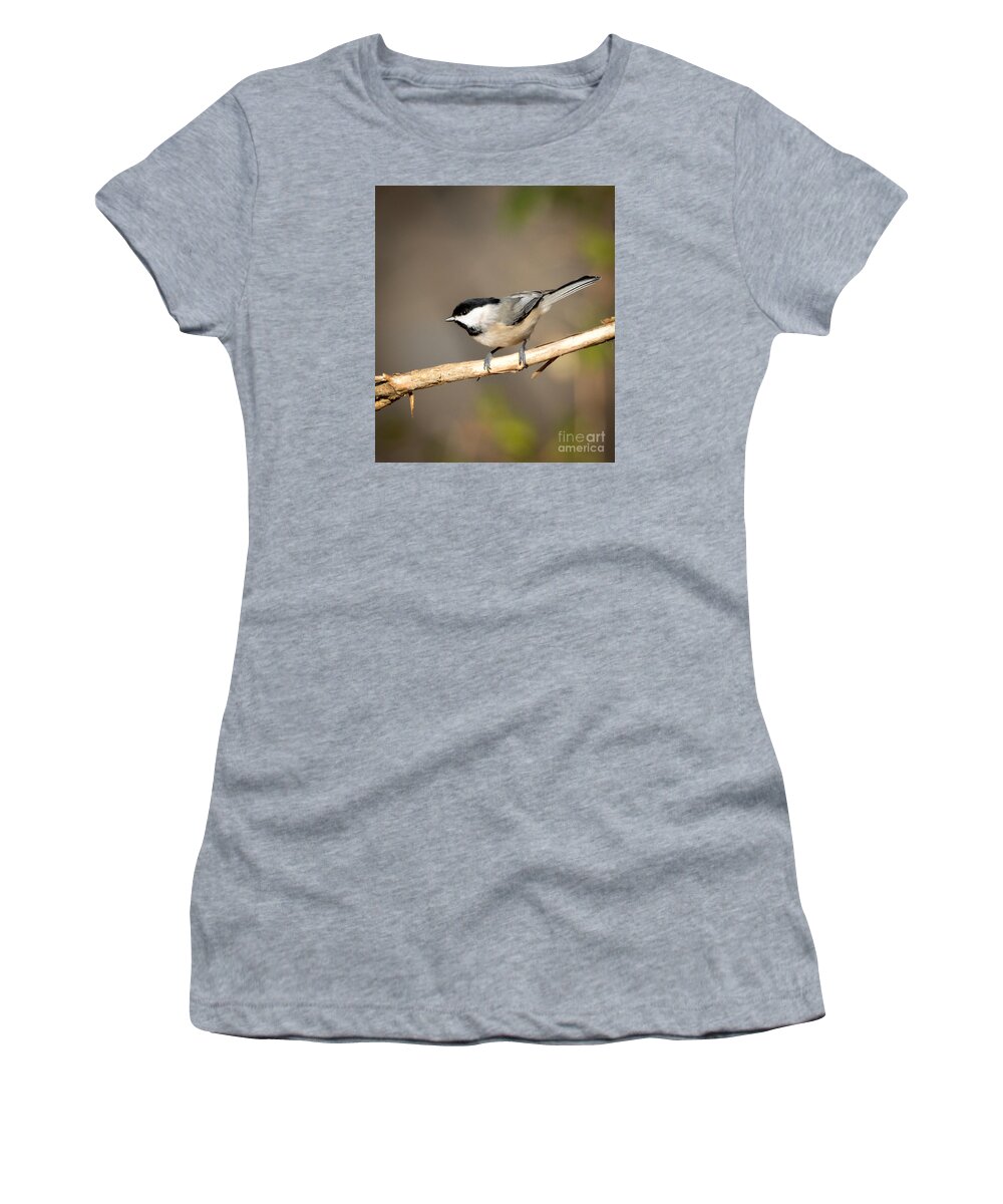 Carolina Chickadee Women's T-Shirt featuring the photograph Carolina Chickadee by Kerri Farley