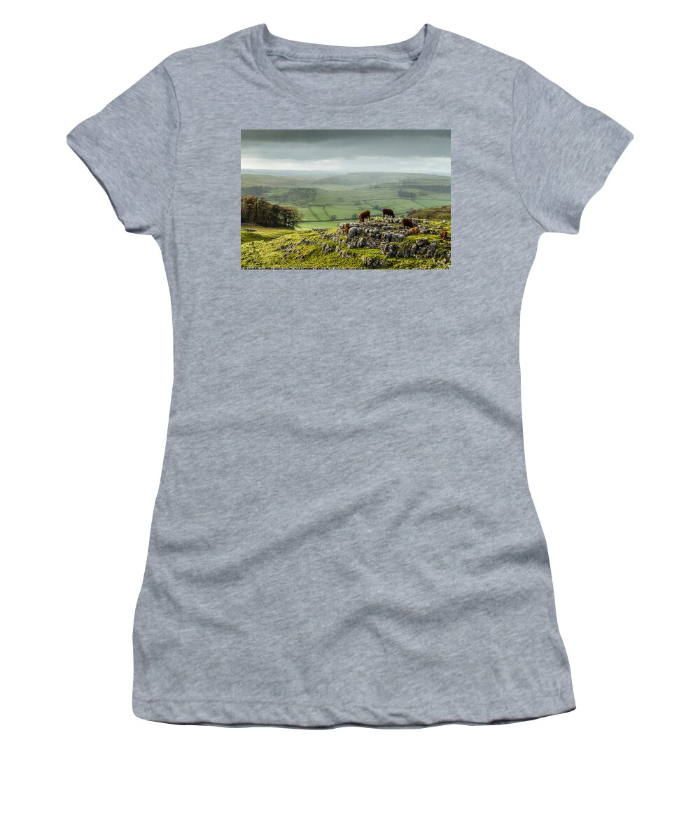 Animals Women's T-Shirt featuring the photograph Cattle in the Yorkshire Dales by Sue Leonard
