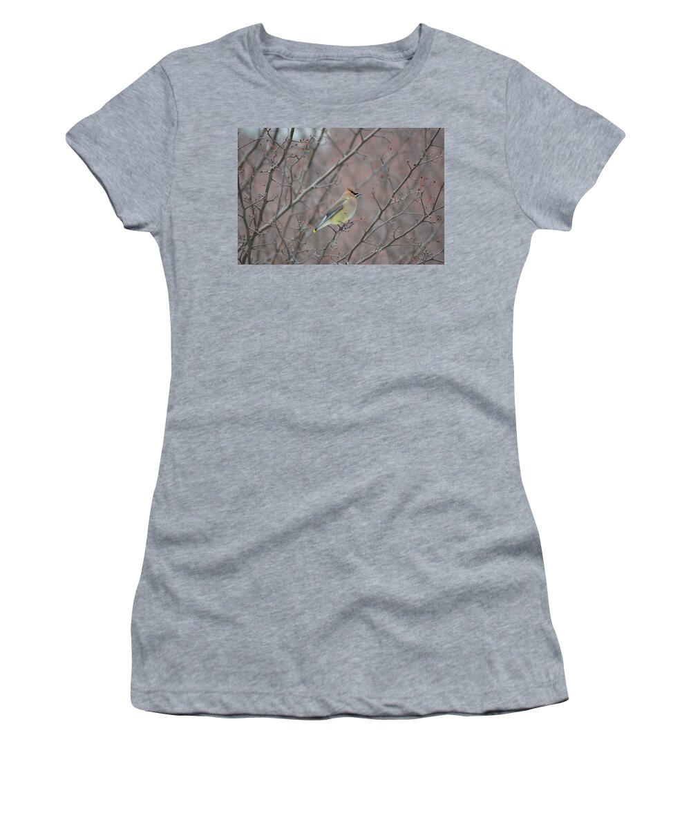Cedar Waxwing Women's T-Shirt featuring the photograph Cedar Waxwing by James Petersen
